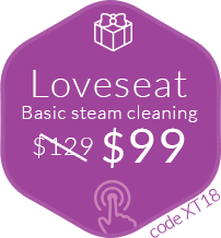 $59 Only Loveseat Cleaning [LOV59]